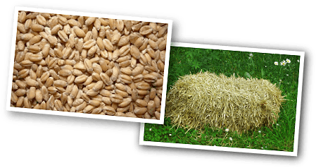 Getreide und Stroh