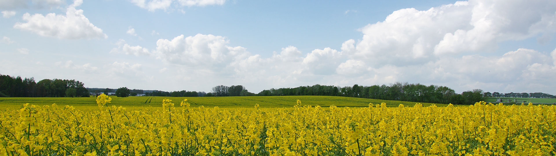 Image banner for inner page